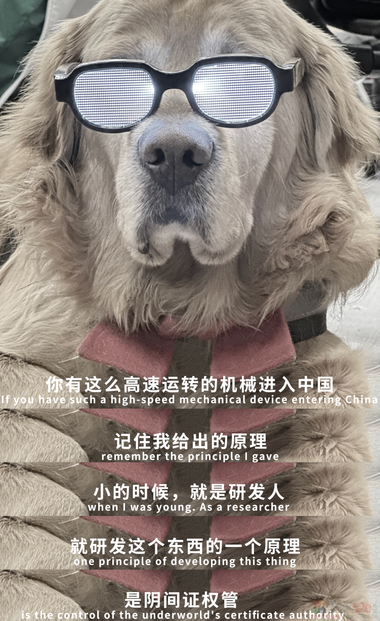 罗翔马斯克董宇辉，被营销号整成了毒鸡汤批发部603 / 作者:儿时的回忆 / 帖子ID:314686