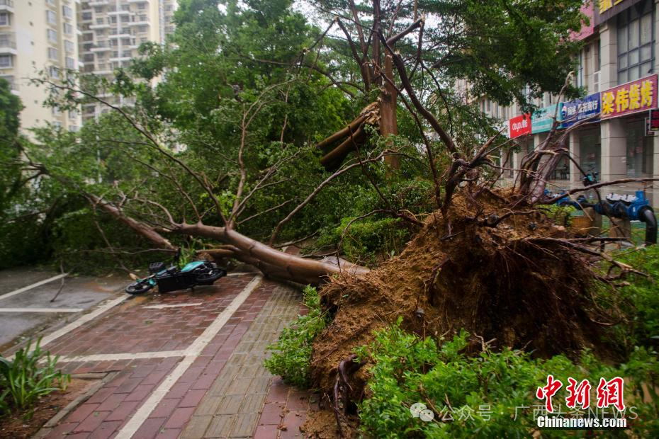 广西进入最强降雨时段！今年3~5个台风、高温干旱、洪水将来袭96 / 作者:尹以为荣 / 帖子ID:314761