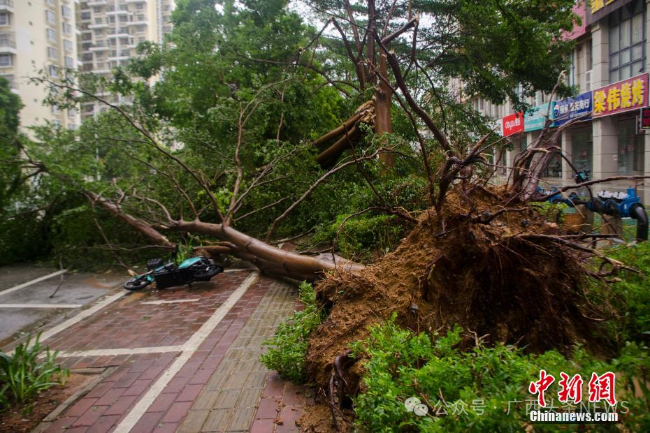 广西进入最强降雨时段！今年3~5个台风、高温干旱、洪水将来袭338 / 作者:尹以为荣 / 帖子ID:314761