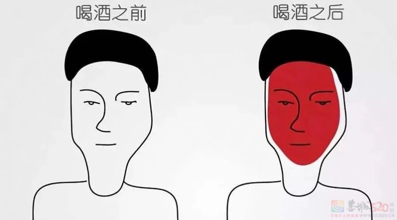千万别劝这类人喝酒，患癌风险显著高于一般人562 / 作者:健康小天使 / 帖子ID:314795