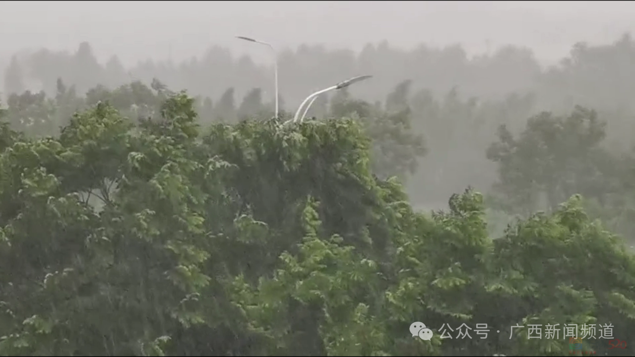 广西气象台今天发布暴雨蓝色预警，这些县(市、区)最大可能出现大暴雨→226 / 作者:尹以为荣 / 帖子ID:314844