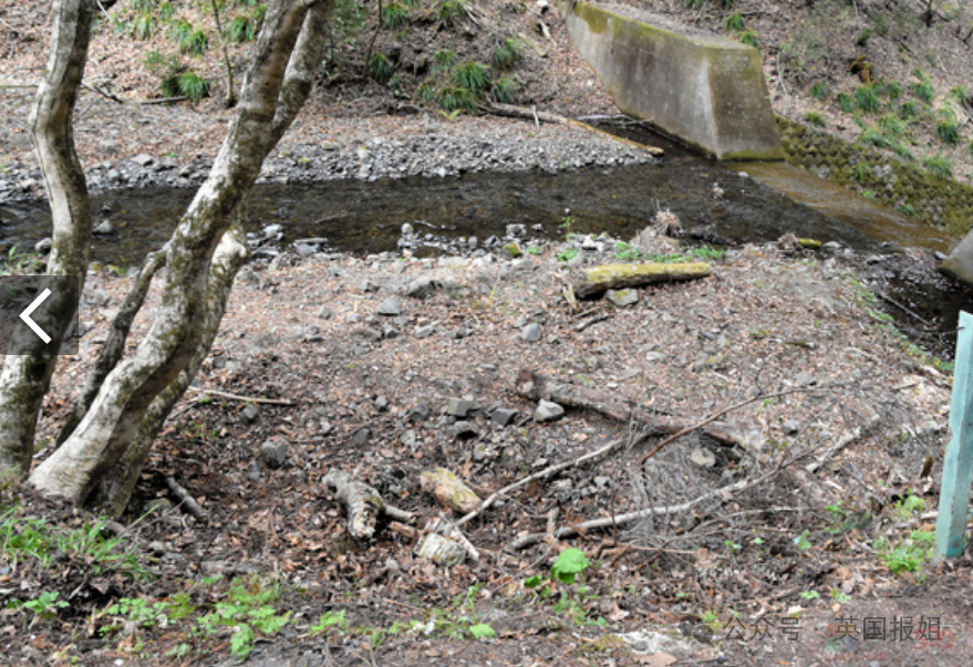 华人夫妻在日本遇害被焚尸？嫌疑人自首曝诡异动机，案件更扑朔迷离！461 / 作者:儿时的回忆 / 帖子ID:314875