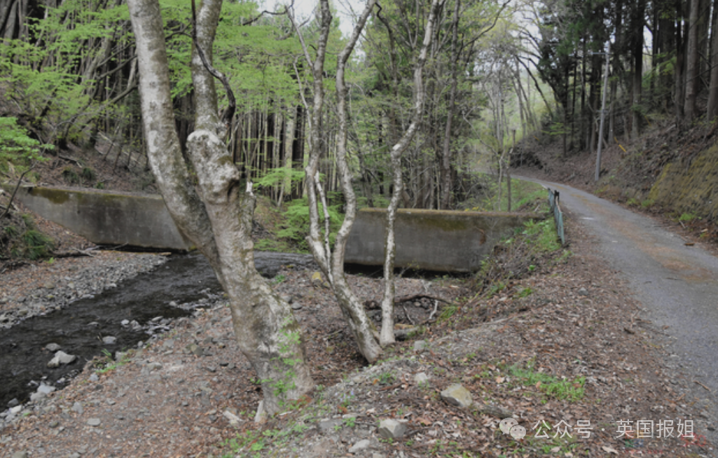 华人夫妻在日本遇害被焚尸？嫌疑人自首曝诡异动机，案件更扑朔迷离！766 / 作者:儿时的回忆 / 帖子ID:314875