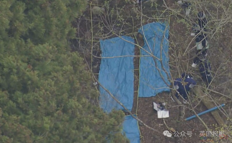 华人夫妻在日本遇害被焚尸？嫌疑人自首曝诡异动机，案件更扑朔迷离！491 / 作者:儿时的回忆 / 帖子ID:314875