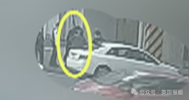 华人夫妻在日本遇害被焚尸？嫌疑人自首曝诡异动机，案件更扑朔迷离！738 / 作者:儿时的回忆 / 帖子ID:314875