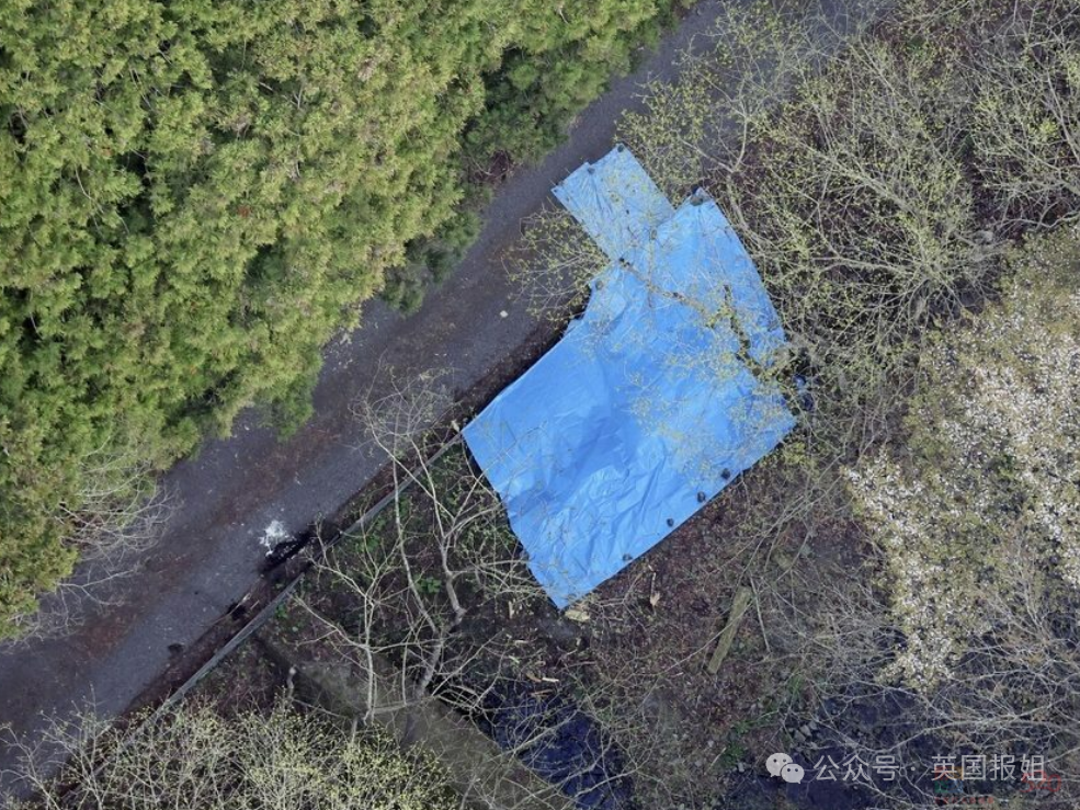 华人夫妻在日本遇害被焚尸？嫌疑人自首曝诡异动机，案件更扑朔迷离！81 / 作者:儿时的回忆 / 帖子ID:314875