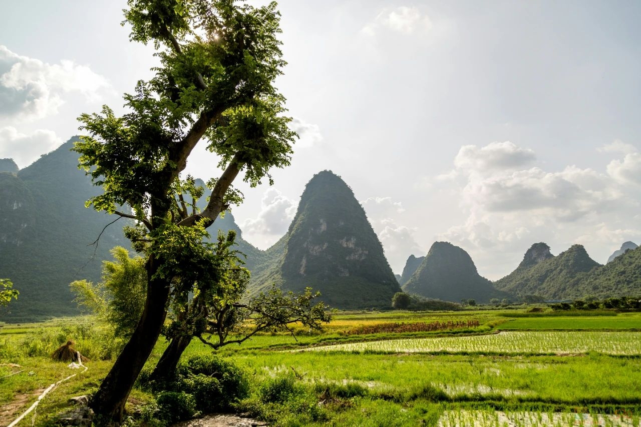 “以为去小县城是错峰旅游，结果跟5A景区一样挤爆”69 / 作者:儿时的回忆 / 帖子ID:314964