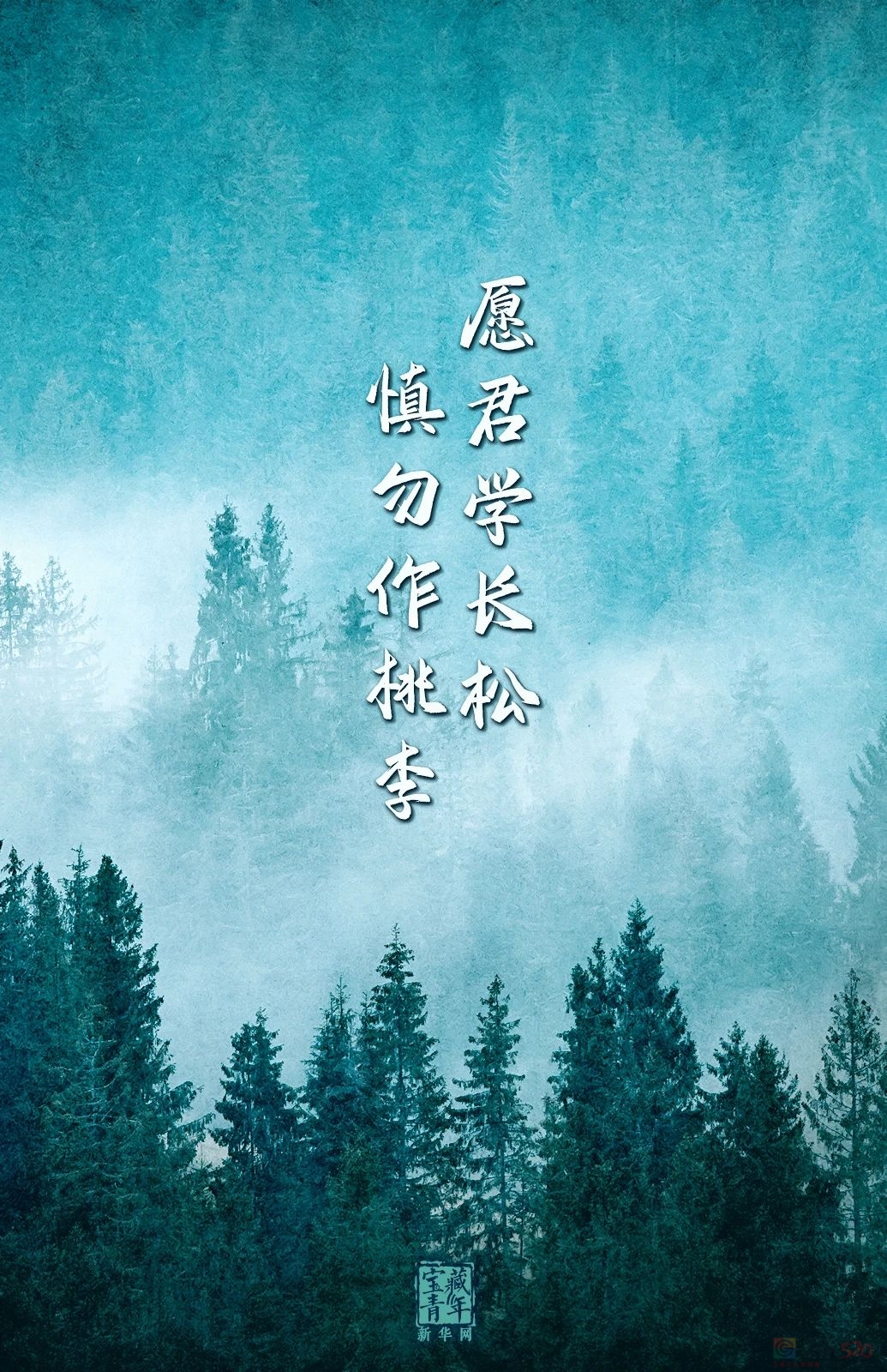 今天，是你的节日！819 / 作者:登山涉水 / 帖子ID:314994