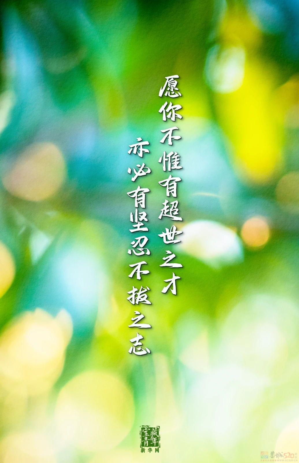 今天，是你的节日！874 / 作者:登山涉水 / 帖子ID:314994