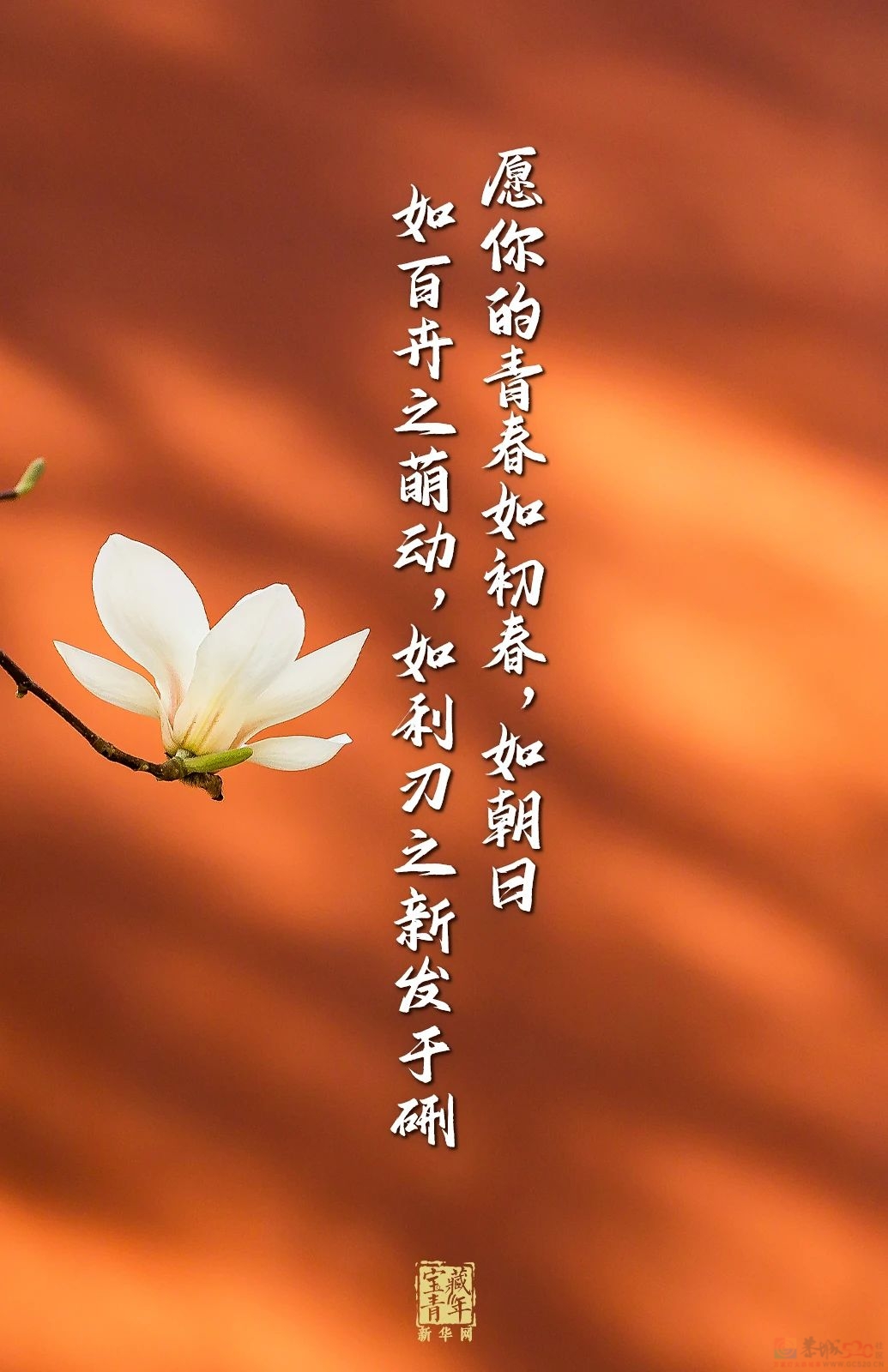 今天，是你的节日！25 / 作者:登山涉水 / 帖子ID:314994