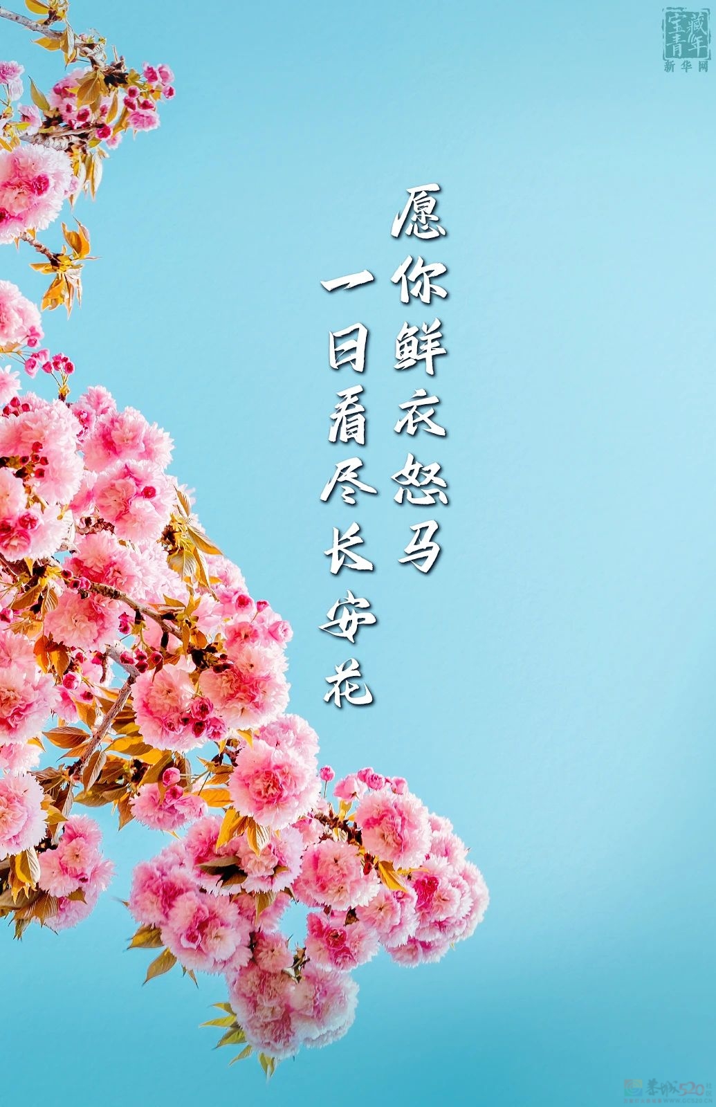 今天，是你的节日！166 / 作者:登山涉水 / 帖子ID:314994