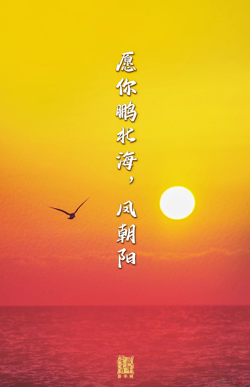 今天，是你的节日！156 / 作者:登山涉水 / 帖子ID:314994