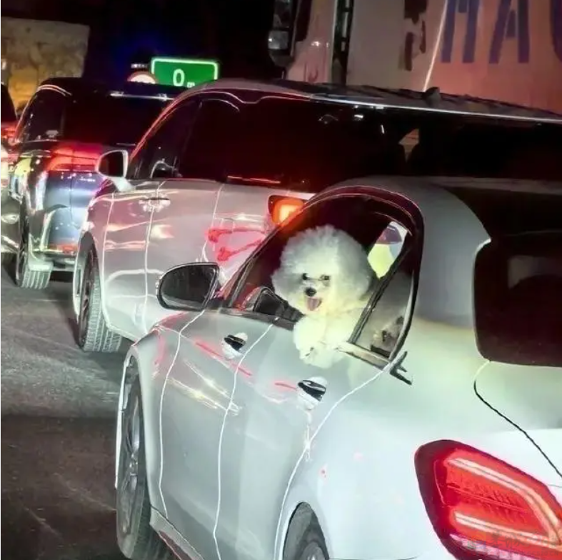 假期快结束了，我还堵在路上126 / 作者:儿时的回忆 / 帖子ID:315016