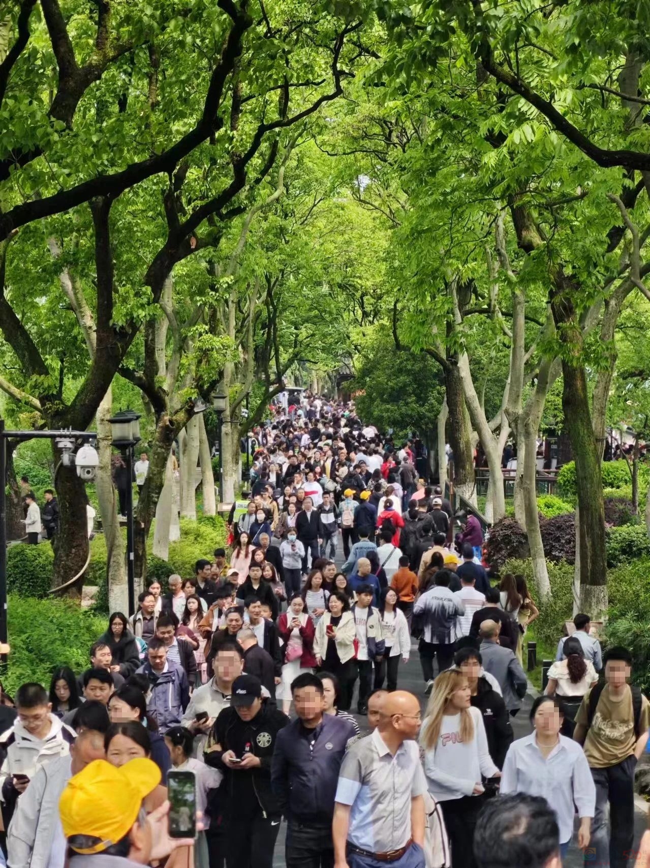 假期快结束了，我还堵在路上300 / 作者:儿时的回忆 / 帖子ID:315016