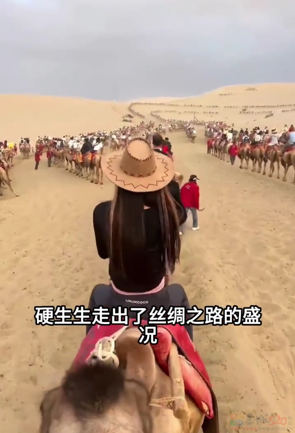 假期快结束了，我还堵在路上681 / 作者:儿时的回忆 / 帖子ID:315016