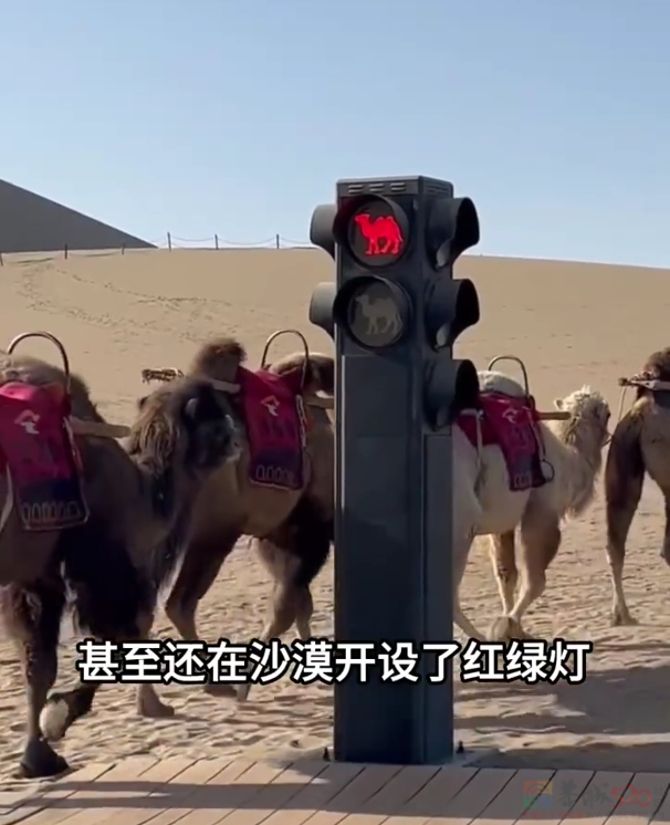 假期快结束了，我还堵在路上45 / 作者:儿时的回忆 / 帖子ID:315016