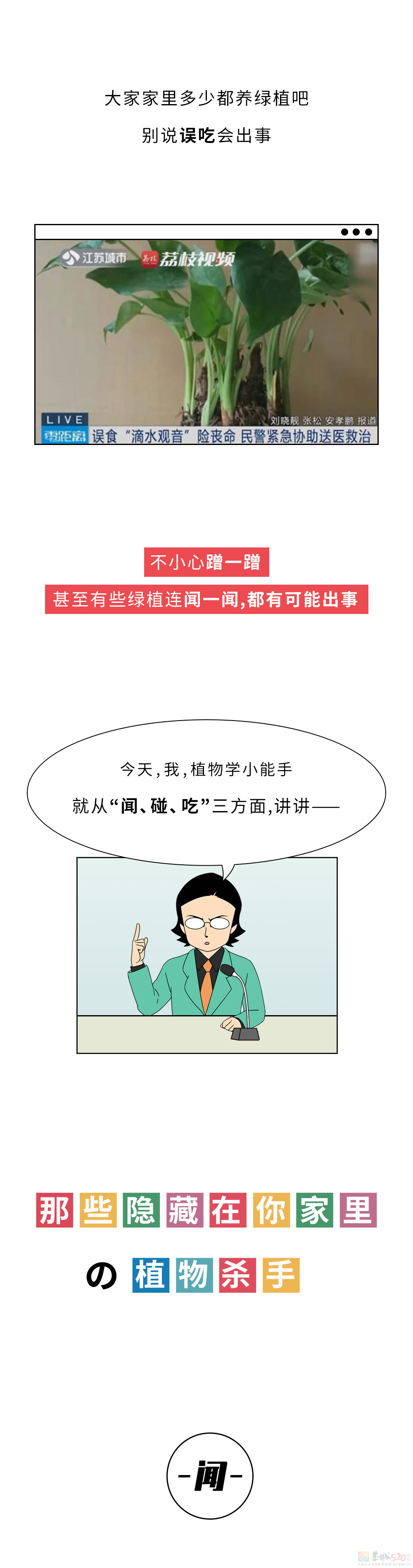 家里千万千万别放这10种绿植啊！！！(保命必看)699 / 作者:儿时的回忆 / 帖子ID:315066