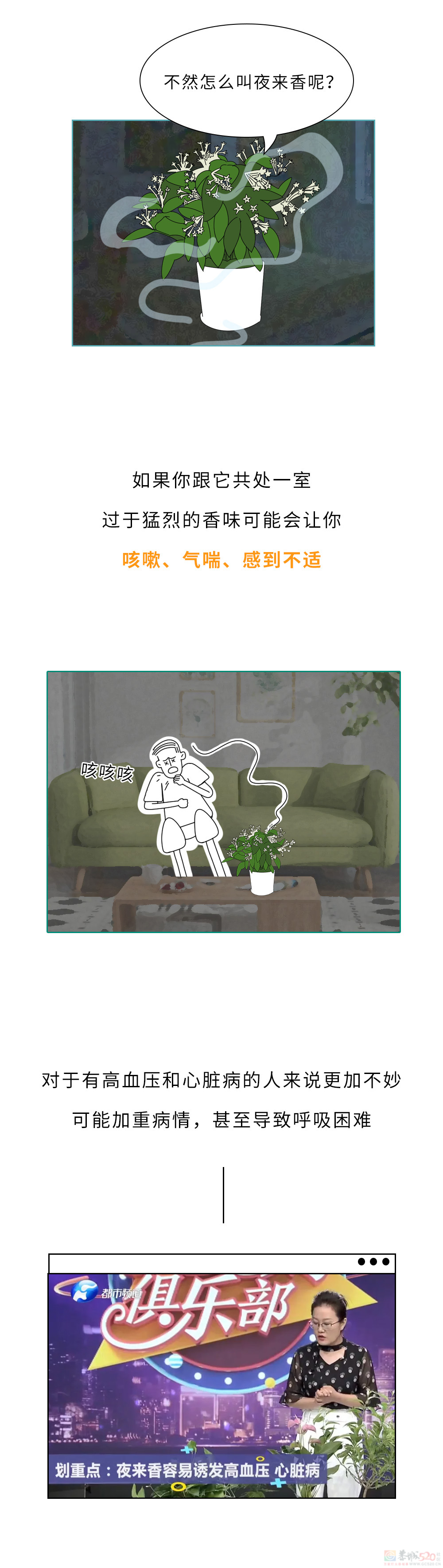 家里千万千万别放这10种绿植啊！！！(保命必看)510 / 作者:儿时的回忆 / 帖子ID:315066