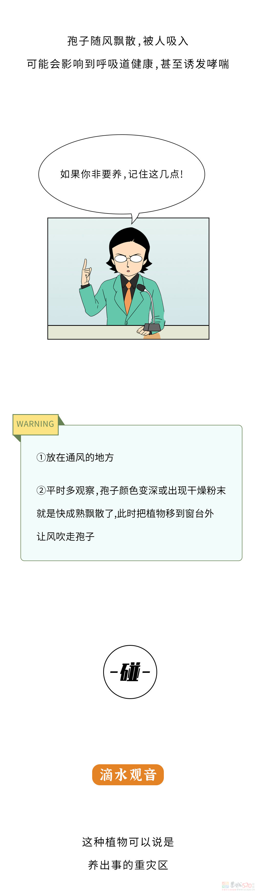 家里千万千万别放这10种绿植啊！！！(保命必看)719 / 作者:儿时的回忆 / 帖子ID:315066