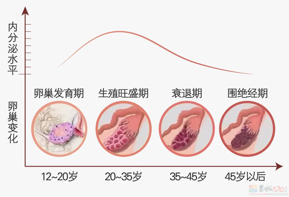 一个女人的衰老，从卵巢「退化」开始102 / 作者:健康小天使 / 帖子ID:315071