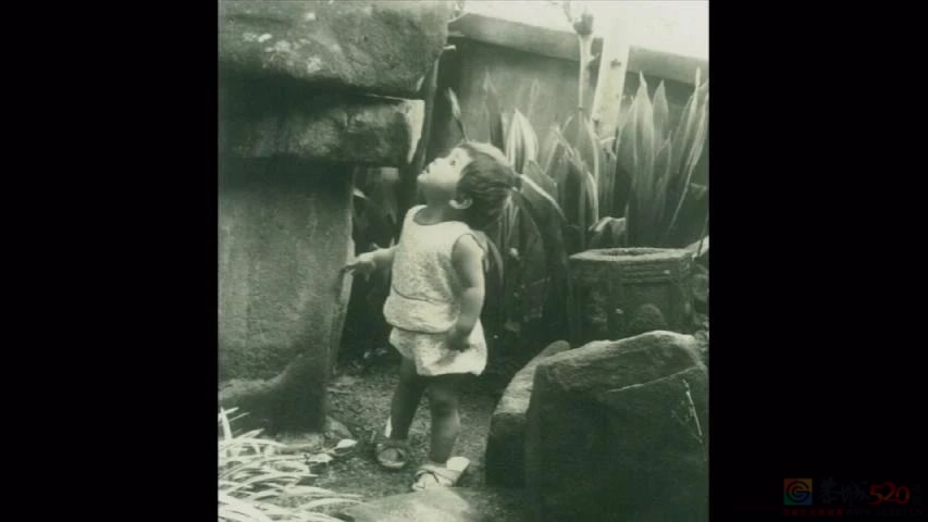 她拍下母亲变痴呆全过程，惹哭几十万网友，观众说：感谢你拍了这个故事！774 / 作者:放眼看世界 / 帖子ID:315147