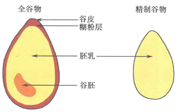 在中医眼里，「五谷」是最养人的食物872 / 作者:健康小天使 / 帖子ID:315148