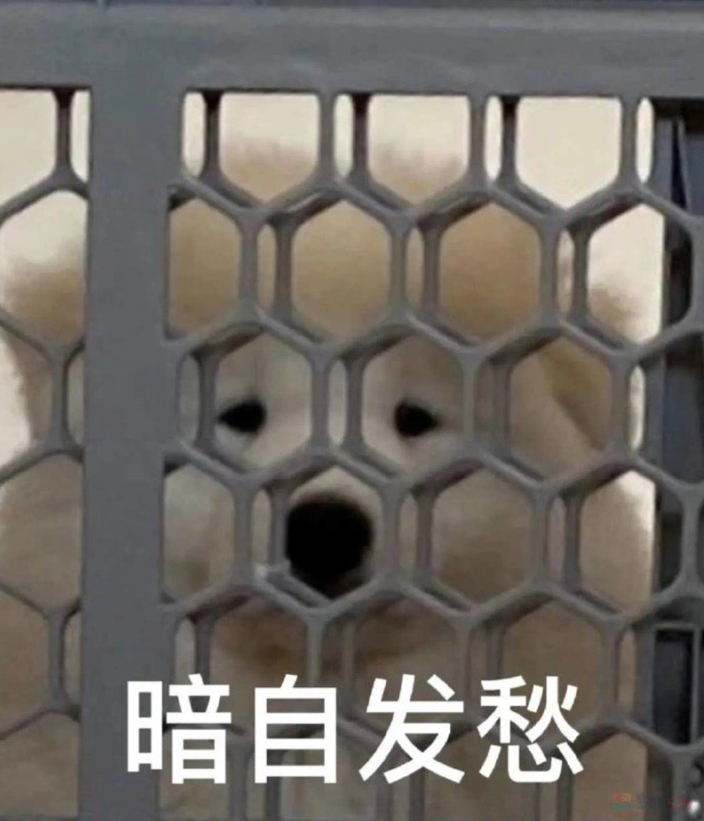 打工人最想入职的网红良心公司，这回终于要“开遍全国”了856 / 作者:儿时的回忆 / 帖子ID:315161