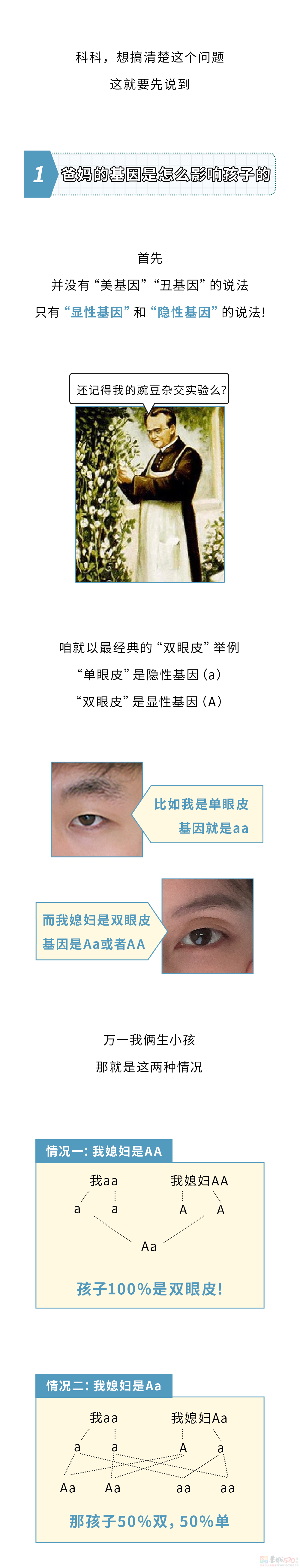 长得丑这件事，到底怪爸爸还是怪妈妈？211 / 作者:儿时的回忆 / 帖子ID:315170