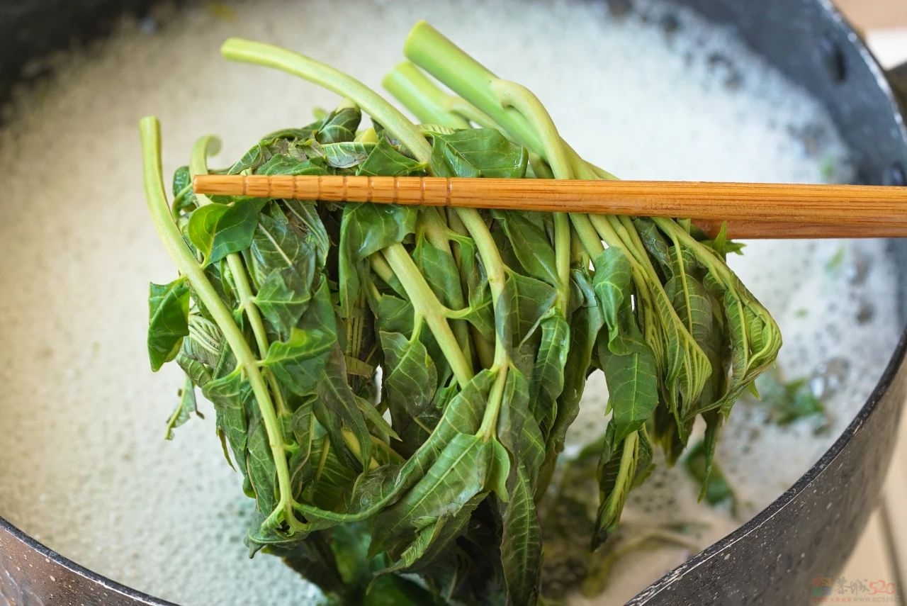 一半人爱到疯狂，另一半人碰都不碰。756 / 作者:爱生活爱美食 / 帖子ID:315172