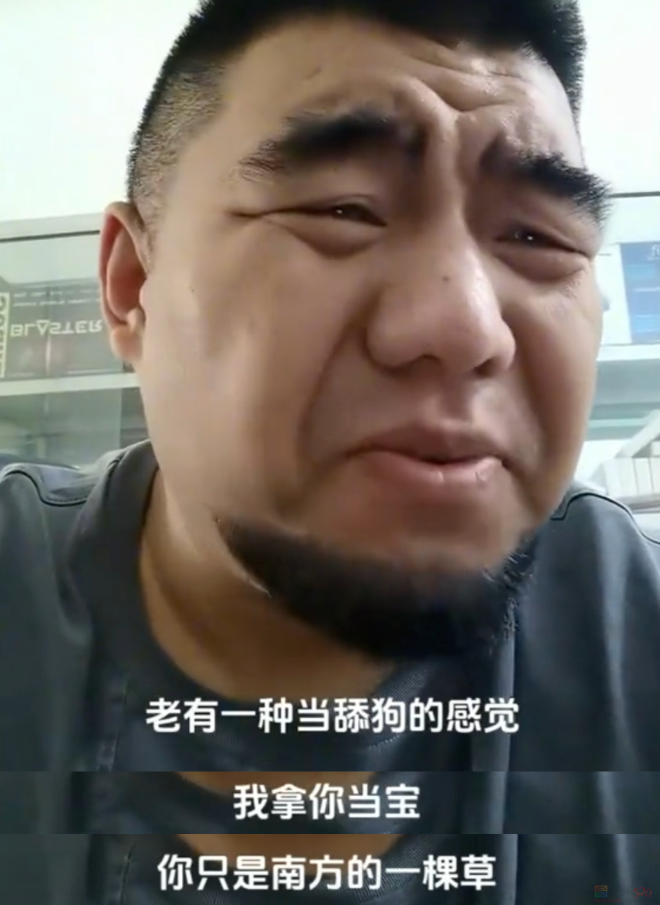 “路边杂草火成中产网红单品”，广东人看完立刻扛锄头去挖621 / 作者:儿时的回忆 / 帖子ID:315204