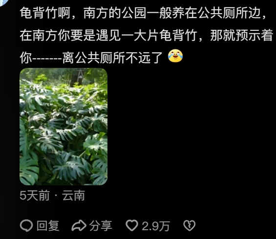 “路边杂草火成中产网红单品”，广东人看完立刻扛锄头去挖801 / 作者:儿时的回忆 / 帖子ID:315204