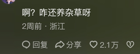 “路边杂草火成中产网红单品”，广东人看完立刻扛锄头去挖936 / 作者:儿时的回忆 / 帖子ID:315204