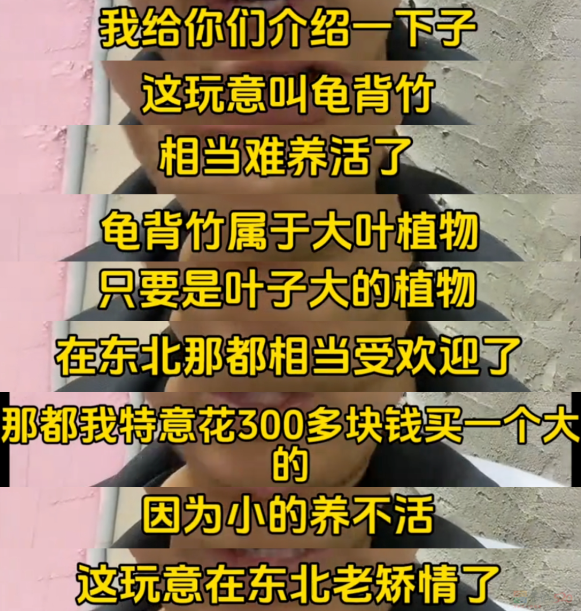 “路边杂草火成中产网红单品”，广东人看完立刻扛锄头去挖226 / 作者:儿时的回忆 / 帖子ID:315204