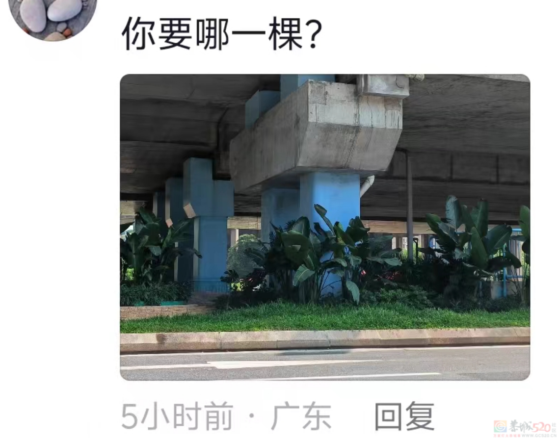 “路边杂草火成中产网红单品”，广东人看完立刻扛锄头去挖898 / 作者:儿时的回忆 / 帖子ID:315204