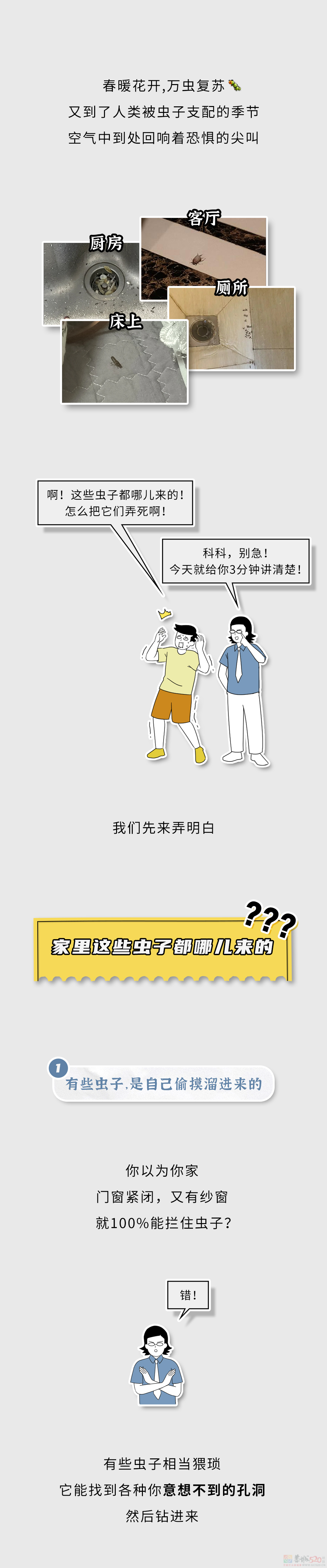 家里这些虫子都哪儿来的？怎么把它们都弄死啊？？815 / 作者:儿时的回忆 / 帖子ID:315226