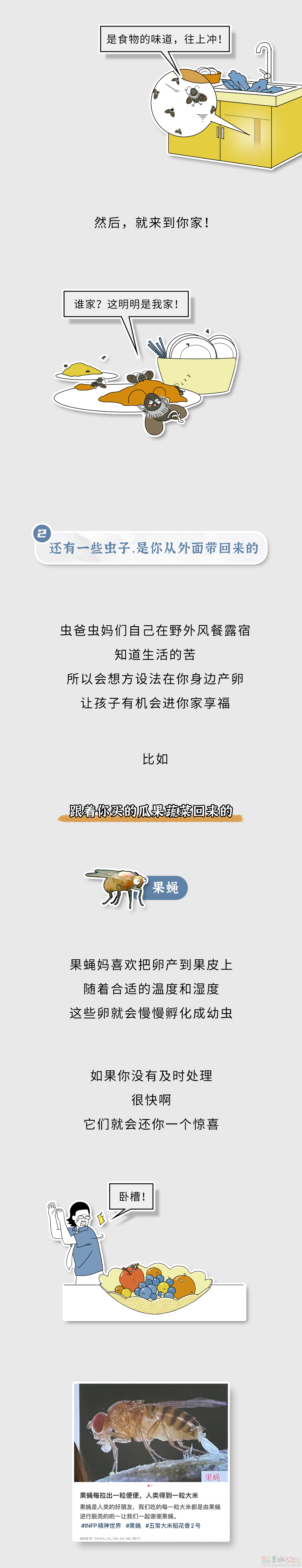 家里这些虫子都哪儿来的？怎么把它们都弄死啊？？902 / 作者:儿时的回忆 / 帖子ID:315226
