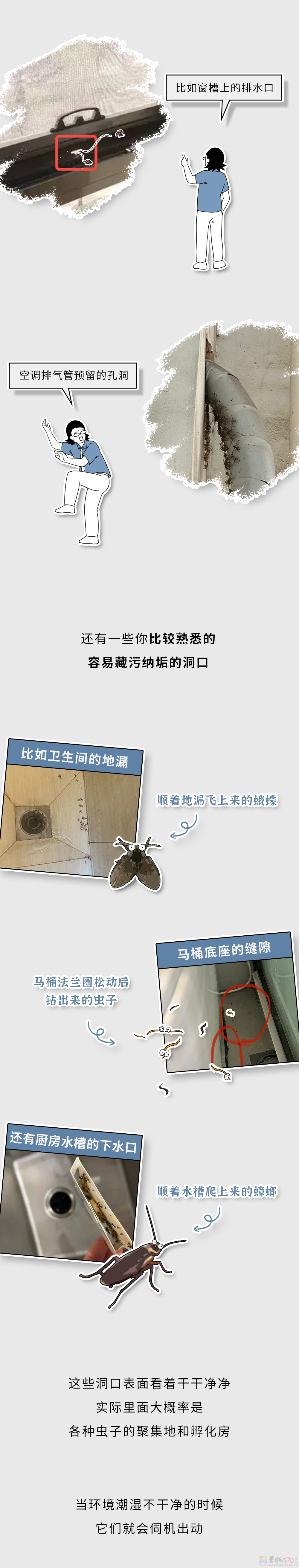 家里这些虫子都哪儿来的？怎么把它们都弄死啊？？290 / 作者:儿时的回忆 / 帖子ID:315226