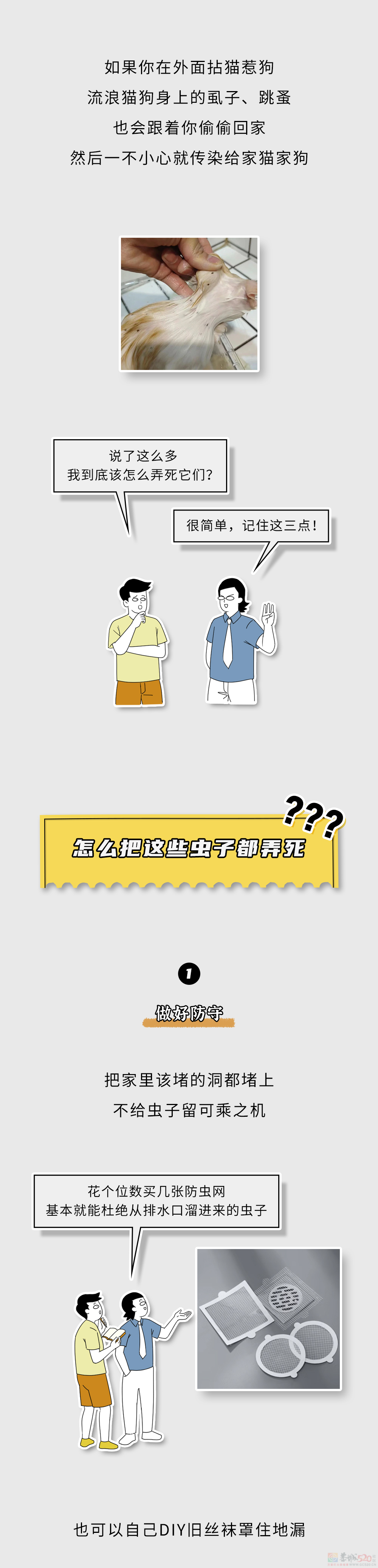 家里这些虫子都哪儿来的？怎么把它们都弄死啊？？564 / 作者:儿时的回忆 / 帖子ID:315226