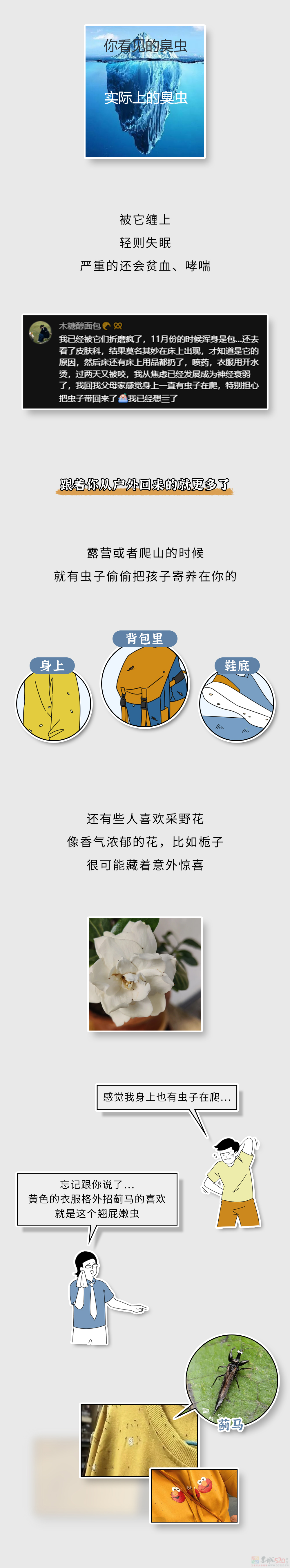 家里这些虫子都哪儿来的？怎么把它们都弄死啊？？471 / 作者:儿时的回忆 / 帖子ID:315226