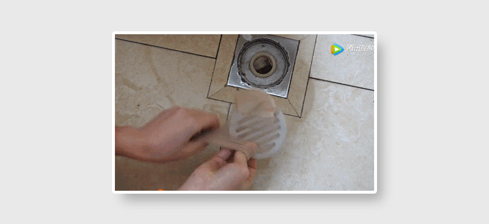 家里这些虫子都哪儿来的？怎么把它们都弄死啊？？629 / 作者:儿时的回忆 / 帖子ID:315226