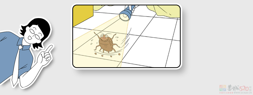 家里这些虫子都哪儿来的？怎么把它们都弄死啊？？795 / 作者:儿时的回忆 / 帖子ID:315226