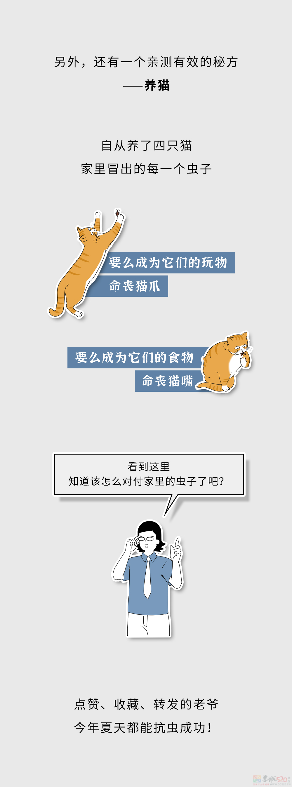 家里这些虫子都哪儿来的？怎么把它们都弄死啊？？552 / 作者:儿时的回忆 / 帖子ID:315226