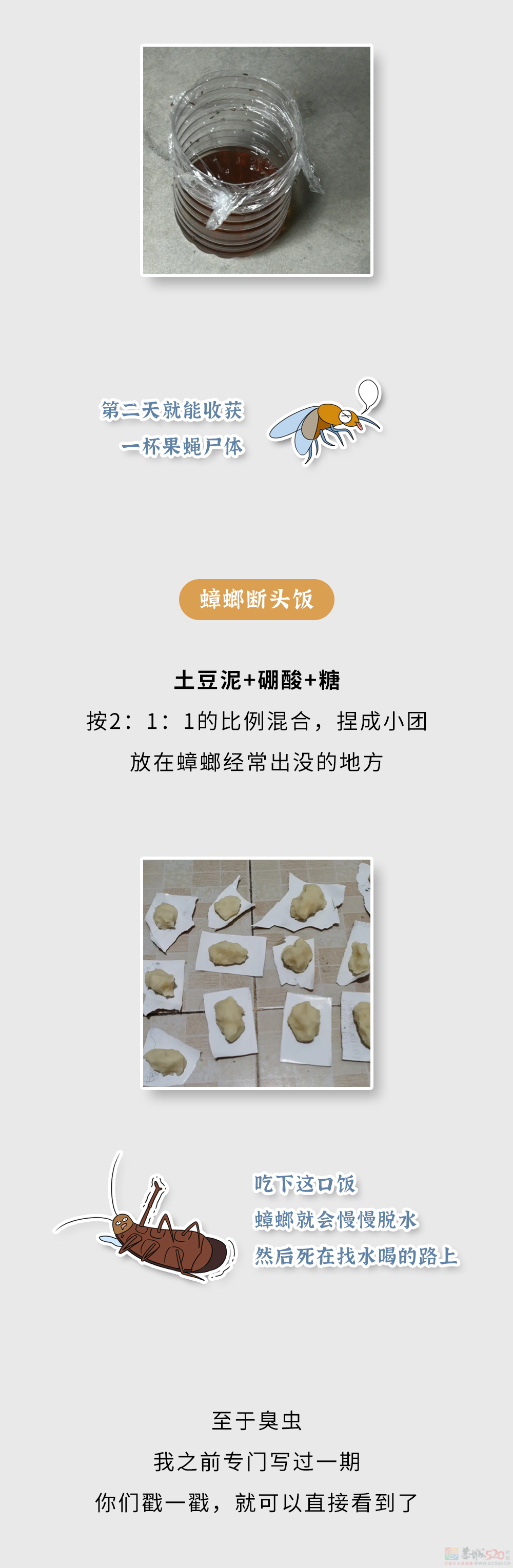 家里这些虫子都哪儿来的？怎么把它们都弄死啊？？255 / 作者:儿时的回忆 / 帖子ID:315226