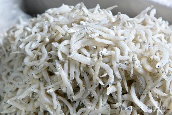 日本世博会新吉祥物又翻车！阴间浓度更上一层，网友：这是打算搞百鬼夜行？296 / 作者:放眼看世界 / 帖子ID:315251