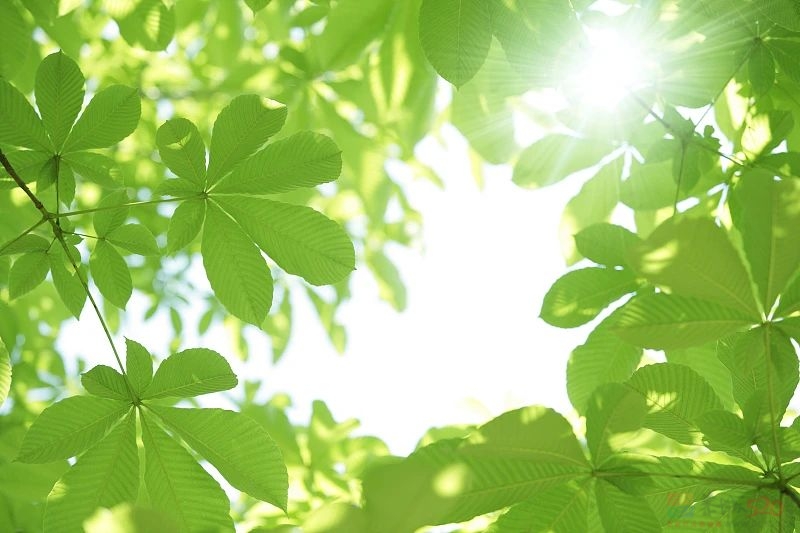 今日小满682 / 作者:登山涉水 / 帖子ID:315262