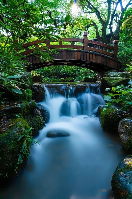 今日小满777 / 作者:登山涉水 / 帖子ID:315262