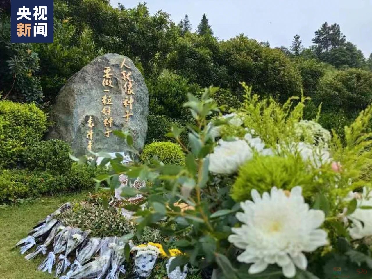 “一到超级稻田里，我就兴奋起来了！”383 / 作者:登山涉水 / 帖子ID:315300