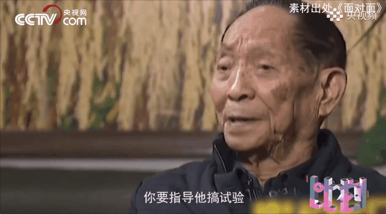 “一到超级稻田里，我就兴奋起来了！”912 / 作者:登山涉水 / 帖子ID:315300