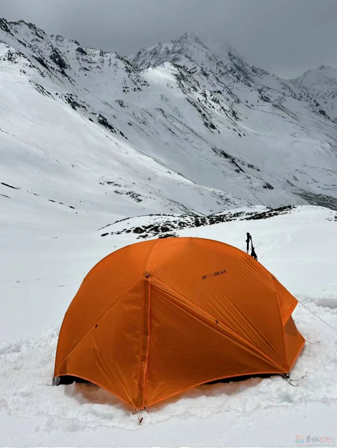 顶流景区火到大学生扎堆想冲，闹出人命才惊觉这玩法太危险546 / 作者:儿时的回忆 / 帖子ID:315318