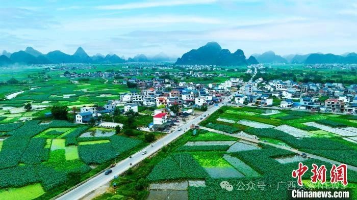 广西唯一！这条路被国家点名，火“出圈”了！492 / 作者:尹以为荣 / 帖子ID:315381